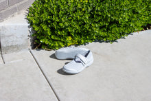 Load image into Gallery viewer, Dinamo Dove